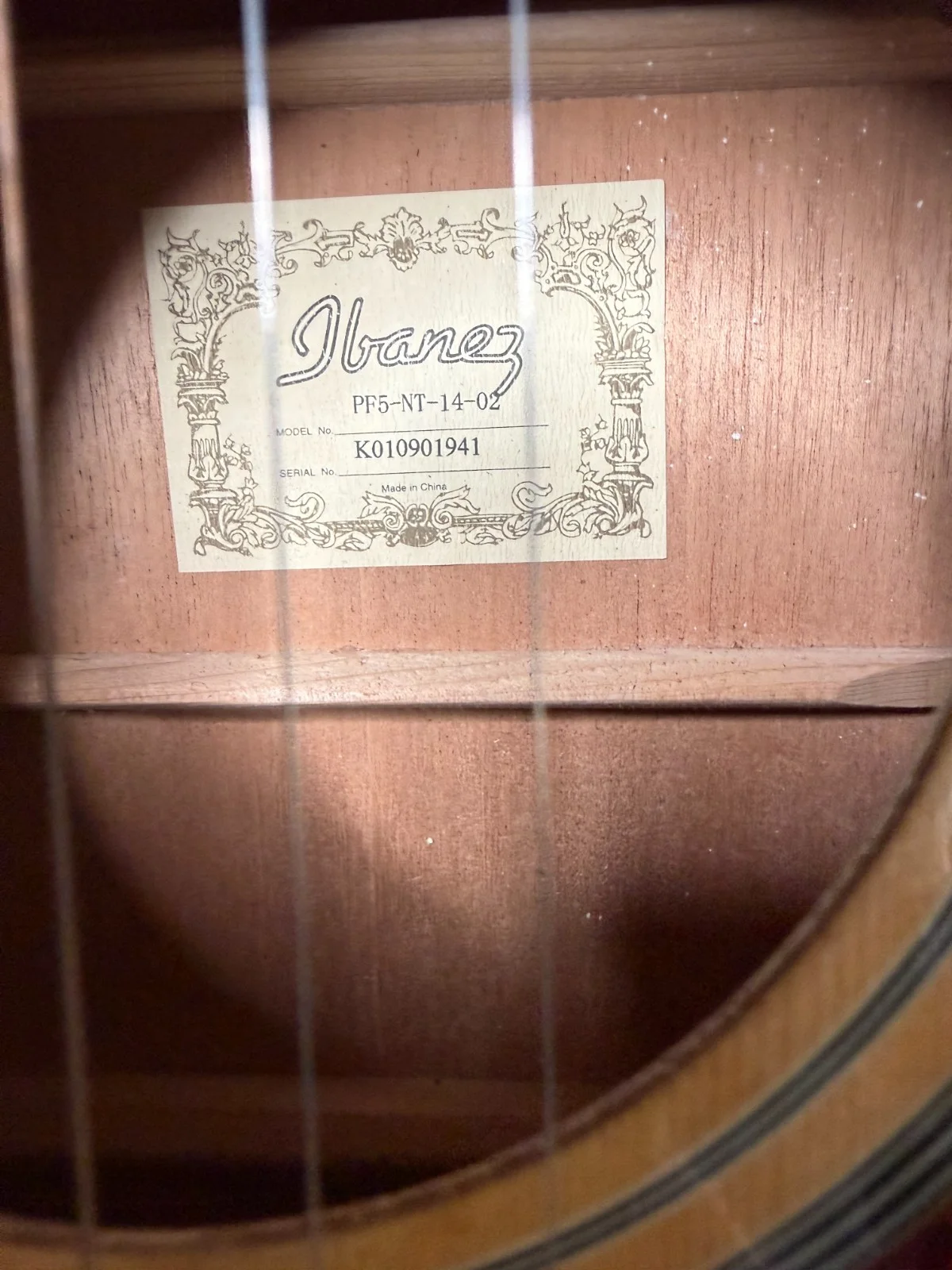 Zach Top hand SIGNED Full Size Ibanez Guitar JSA LOA + I Never Lie Inscrip EX PF, изображение 5