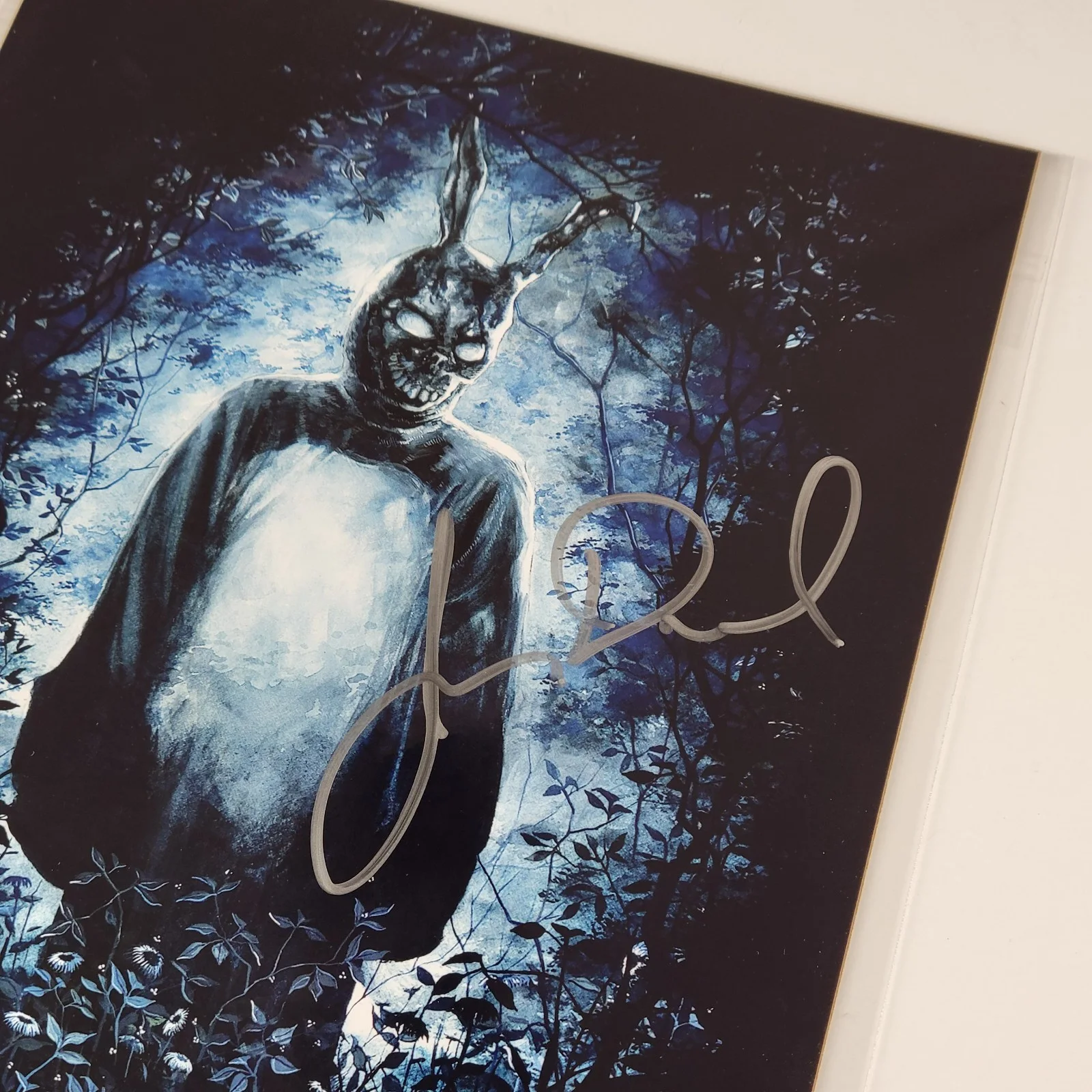 James Duval — James Duval Silver Signed 8x10 Donnie Darko Print Photo Frank Bunny BAM Box COA, image 2