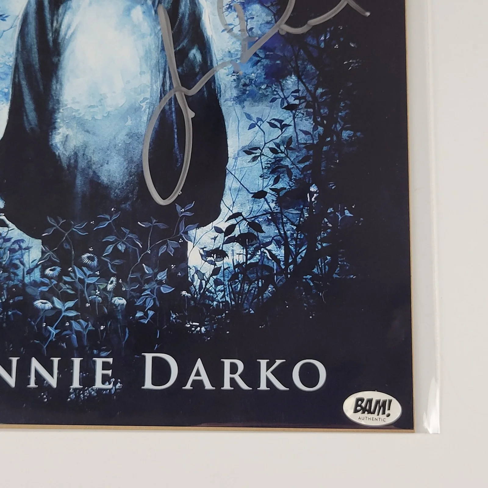 James Duval — James Duval Silver Signed 8x10 Donnie Darko Print Photo Frank Bunny BAM Box COA, image 5