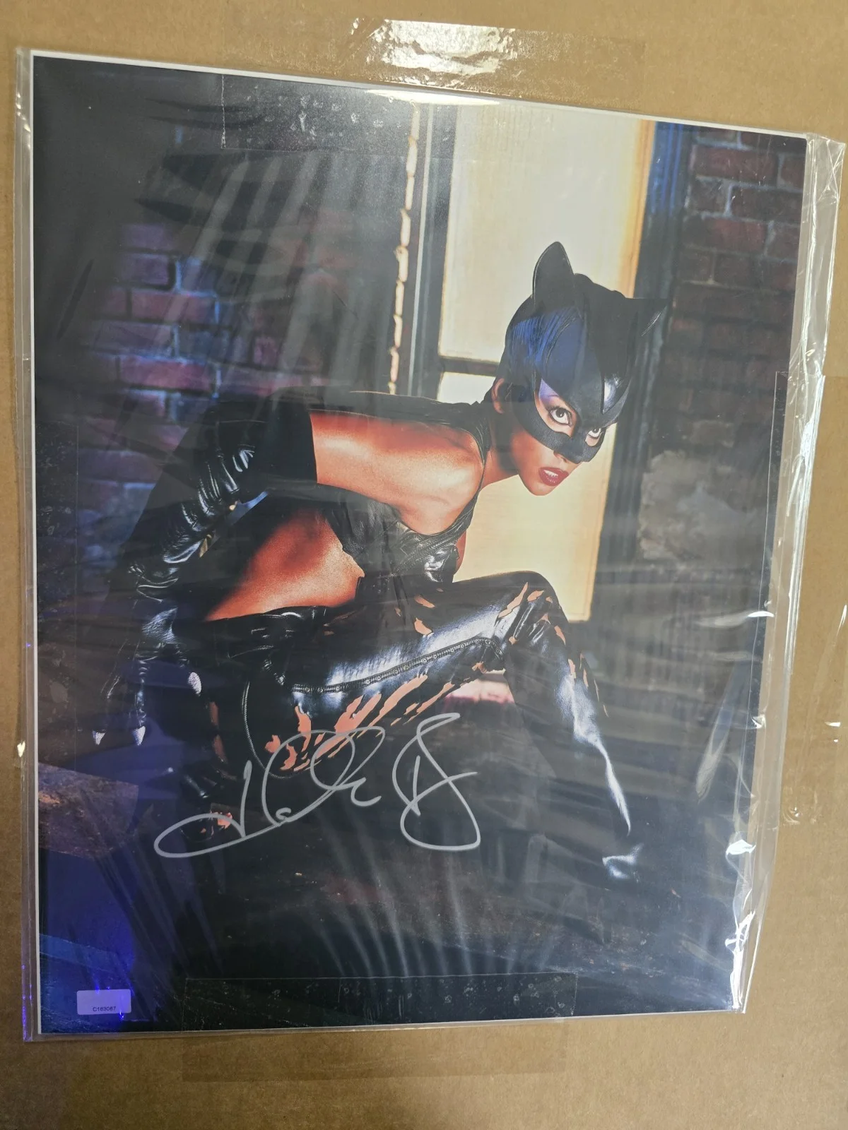 Halle Berry Autographed 2004 Catwoman On the Prowl 11x14 Photo, изображение 2