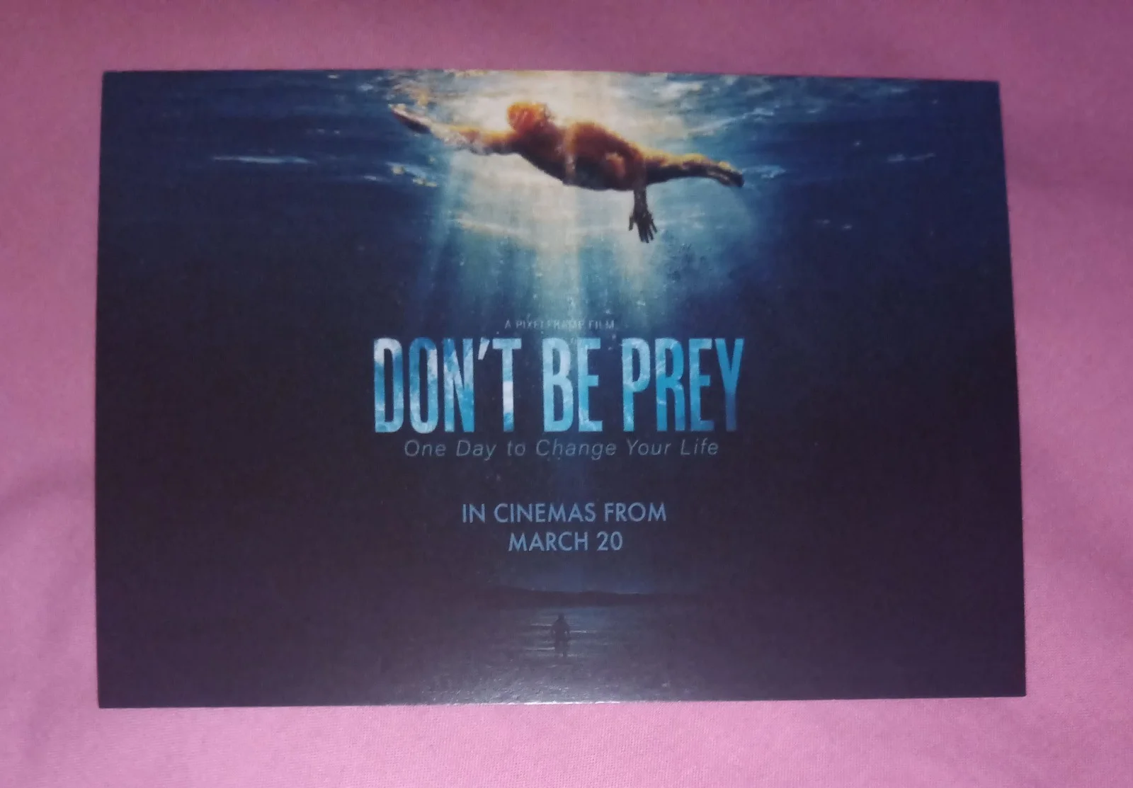 2 Don't Be Prey Postcards, image 2