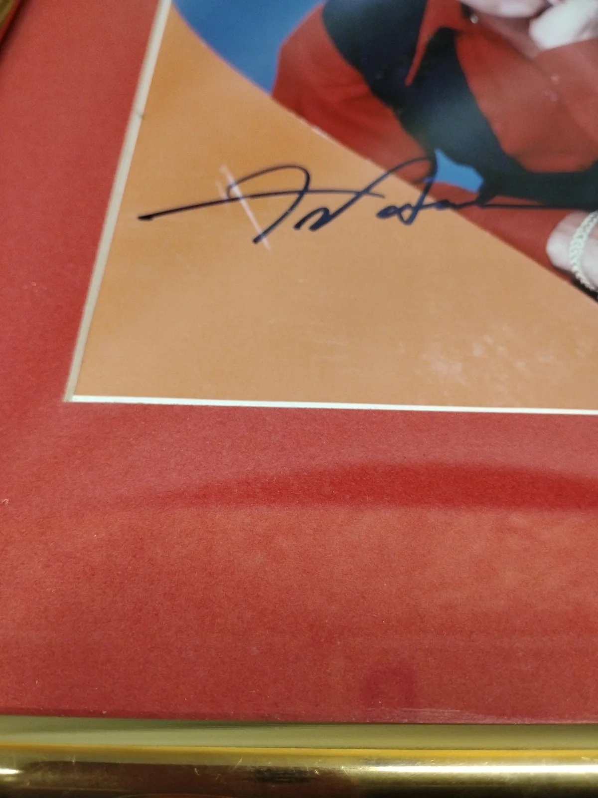 Autographed 8x10 Frankie Avalon Classic Photograph -Gold Framed Size 11.5 X 14.5, изображение 5