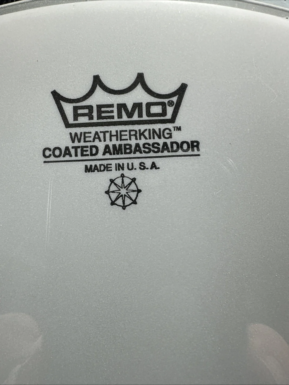 RINGO STARR - Autographed REMO DRUM HEAD WITH W/COA ~BEATLES!, image 3