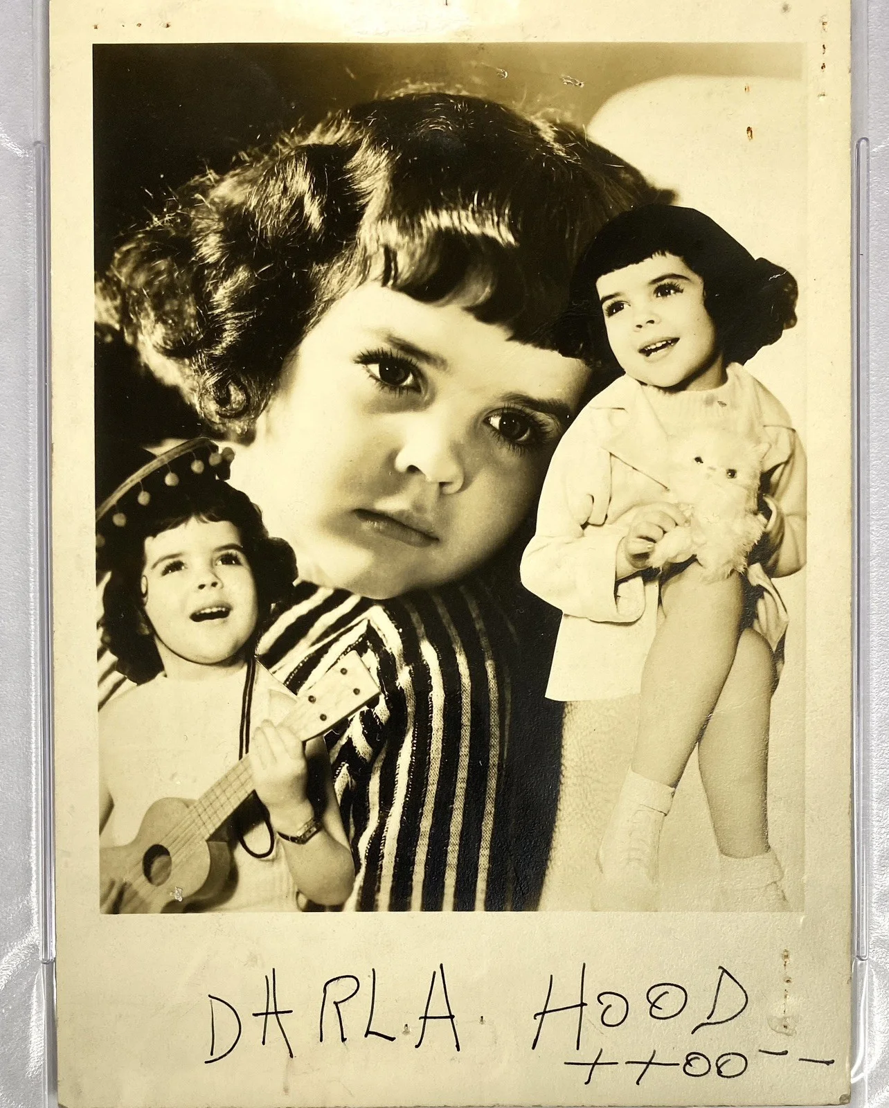 Darla Hood — Darla Hood Signed "Our Gang" Photo – PSA Gem Mint 10!