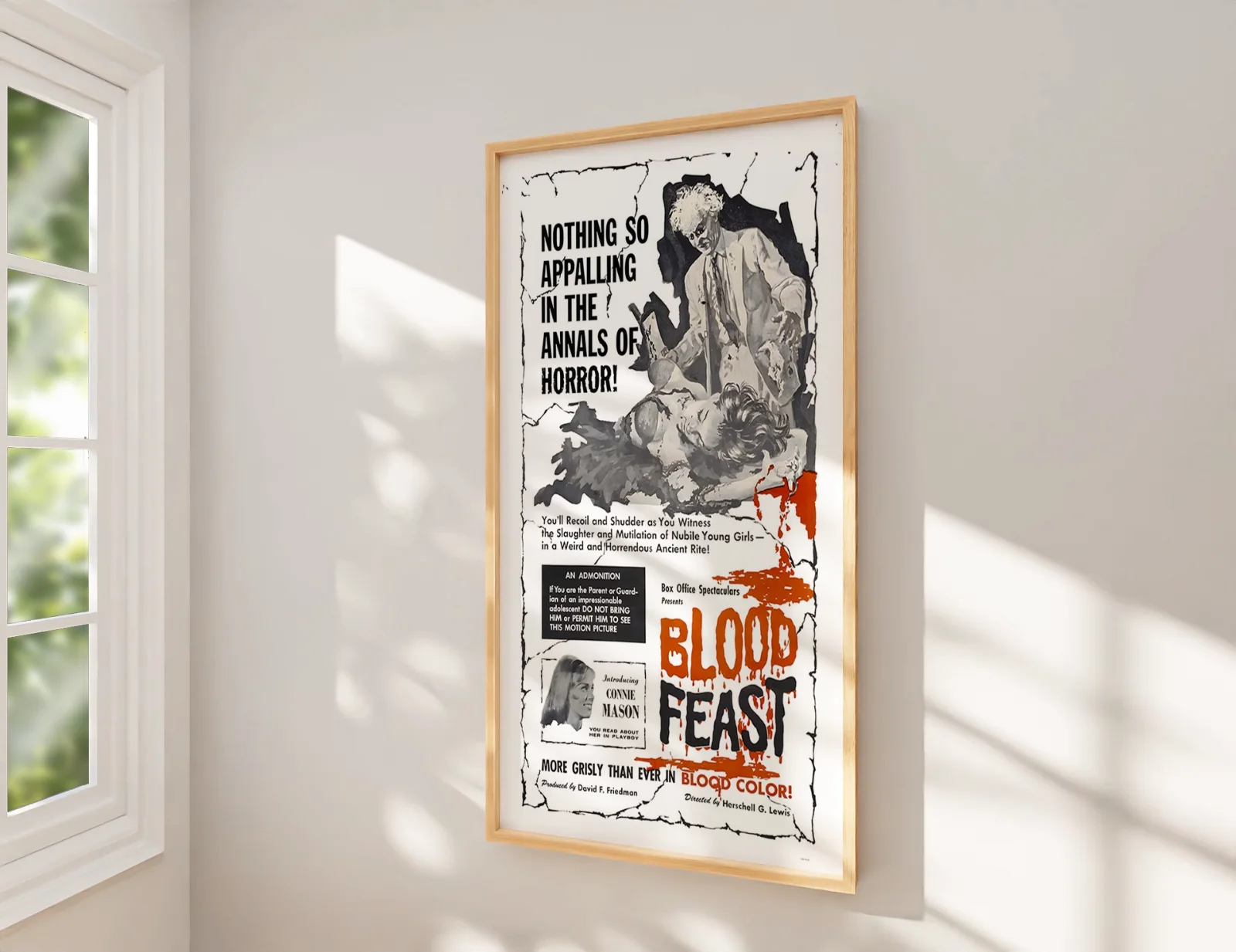 Blood Feast 1963 - Herschell Gordon Lewis - Restored 27.2" x 41" US One Sheet, изображение 2