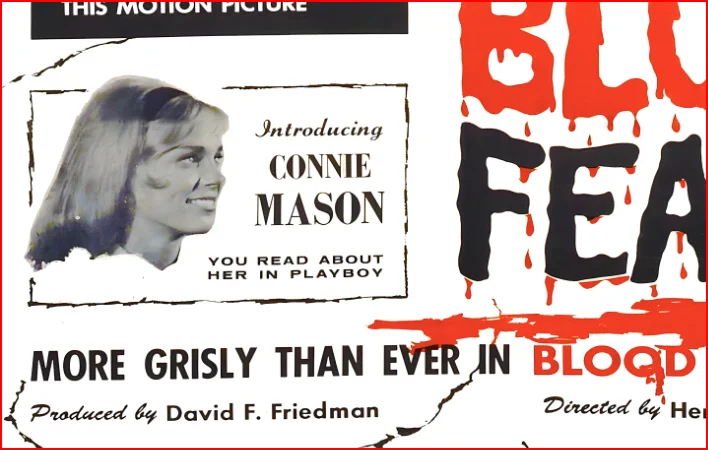 Blood Feast 1963 - Herschell Gordon Lewis - Restored 27.2" x 41" US One Sheet, изображение 5