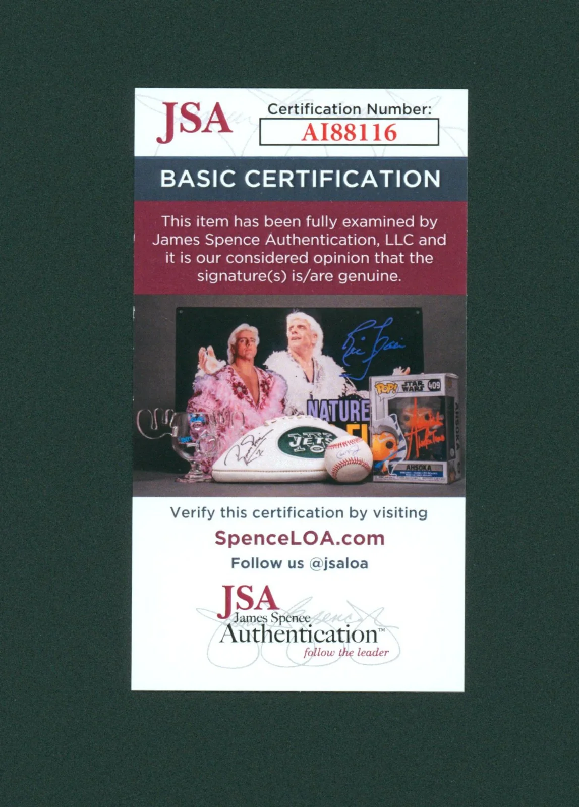 Elisha Cuthbert — Elisha Cuthbert Signed JSA COA 11X14 Sexy Girl Next Door Photo Auto Autographed, image 3