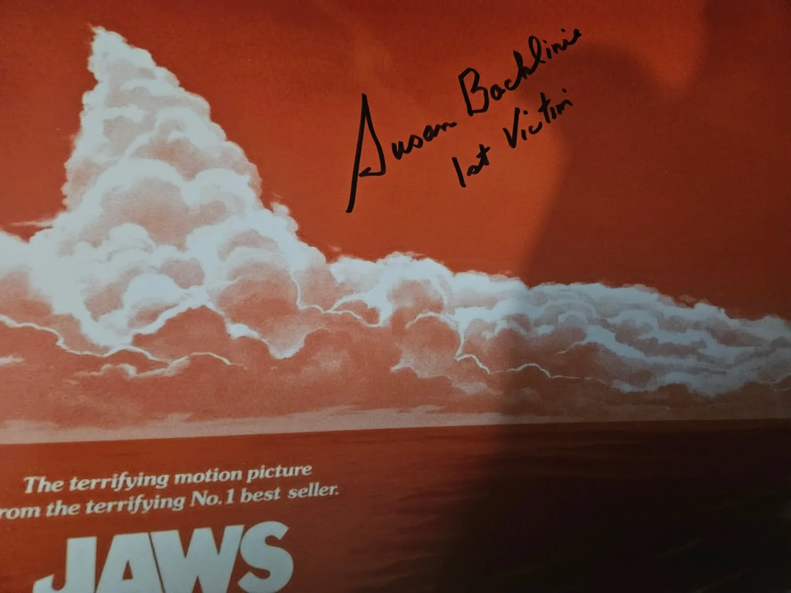 Jaws 1st victim — JAWS 1st victim autographed 11x17 on beach color photo JSA Certified, изображение 2