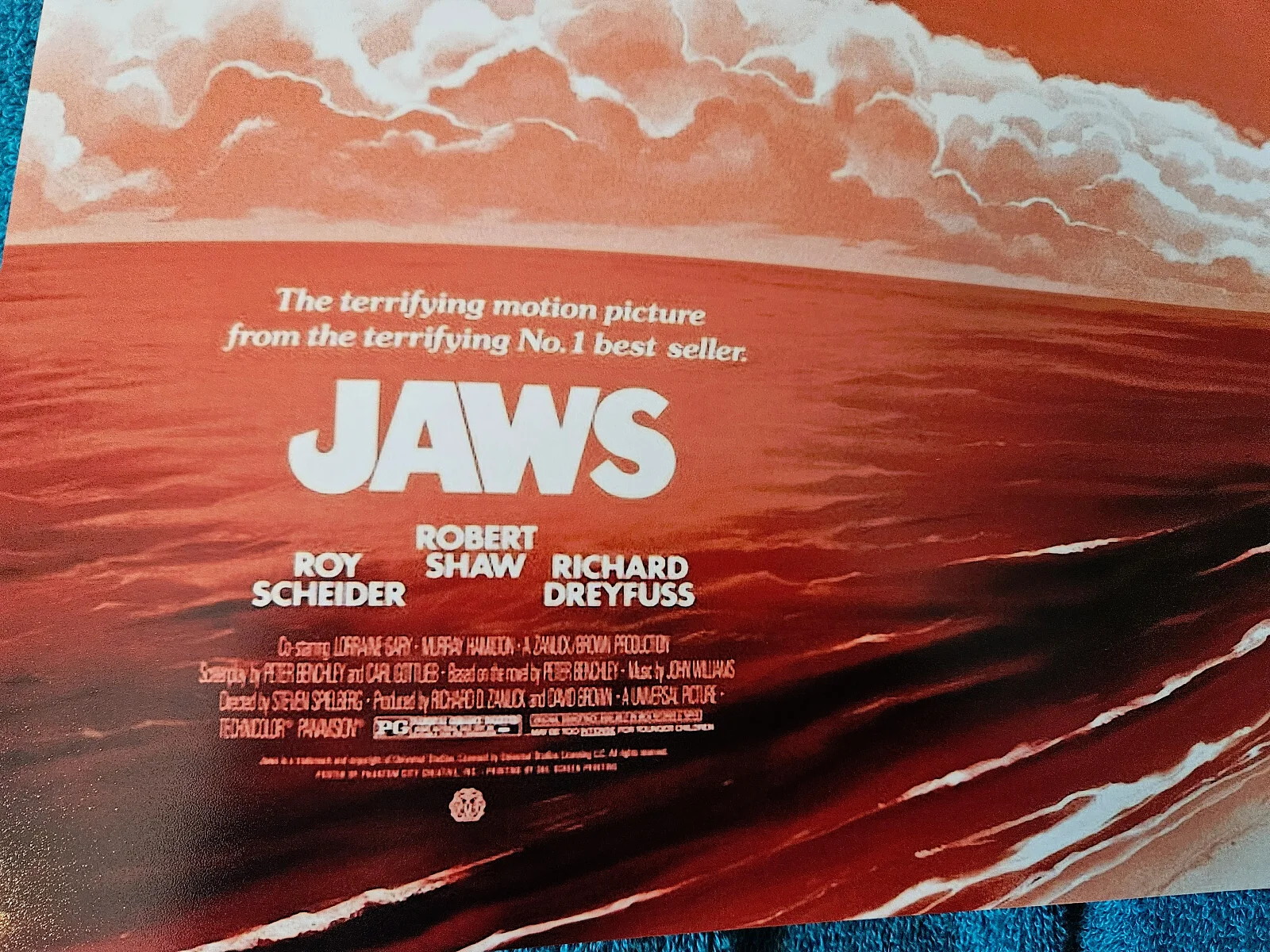 Jaws 1st victim — JAWS 1st victim autographed 11x17 on beach color photo JSA Certified, изображение 4