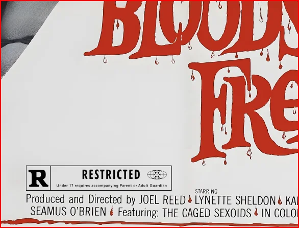 Blood Sucking Freaks 1976 Horror - Restored 27.2" x 41" US One Sheet, image 5