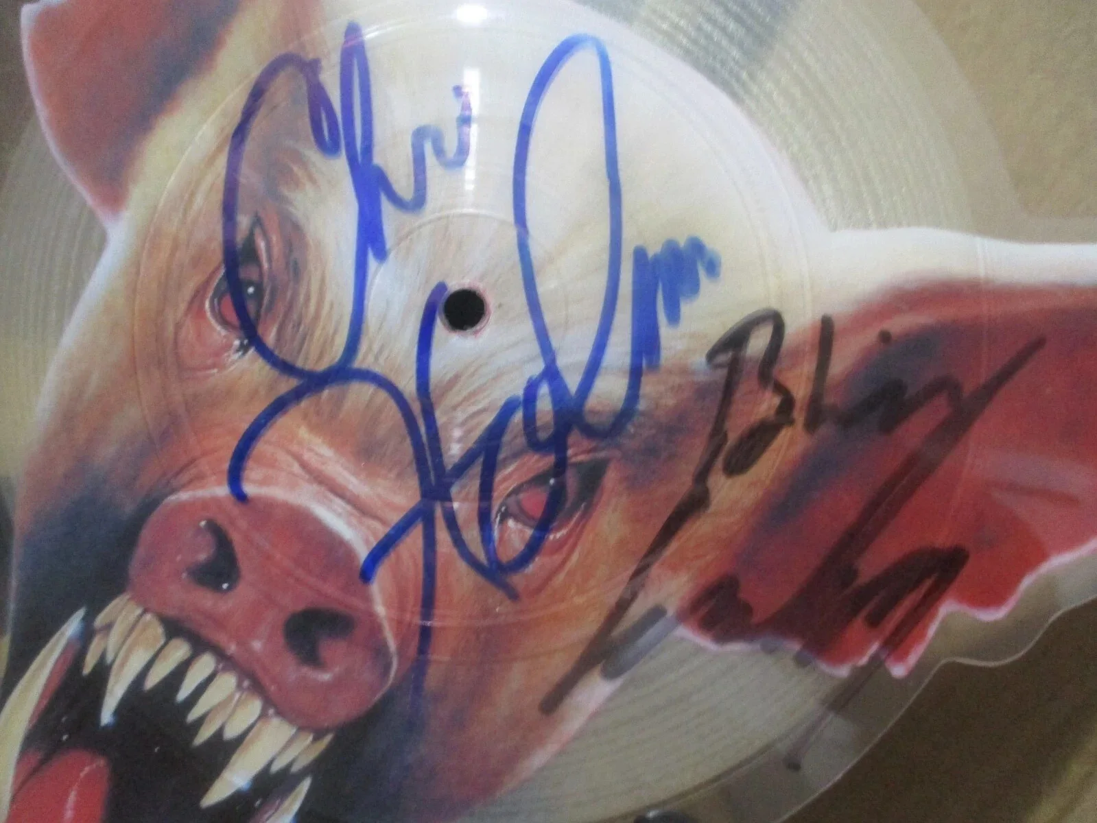 WASP JSA CERTIFIED AUTHENTIC AUTOGRAPHED/SIGNED ANIMAL F**K RARE PICTURE DISC, изображение 2