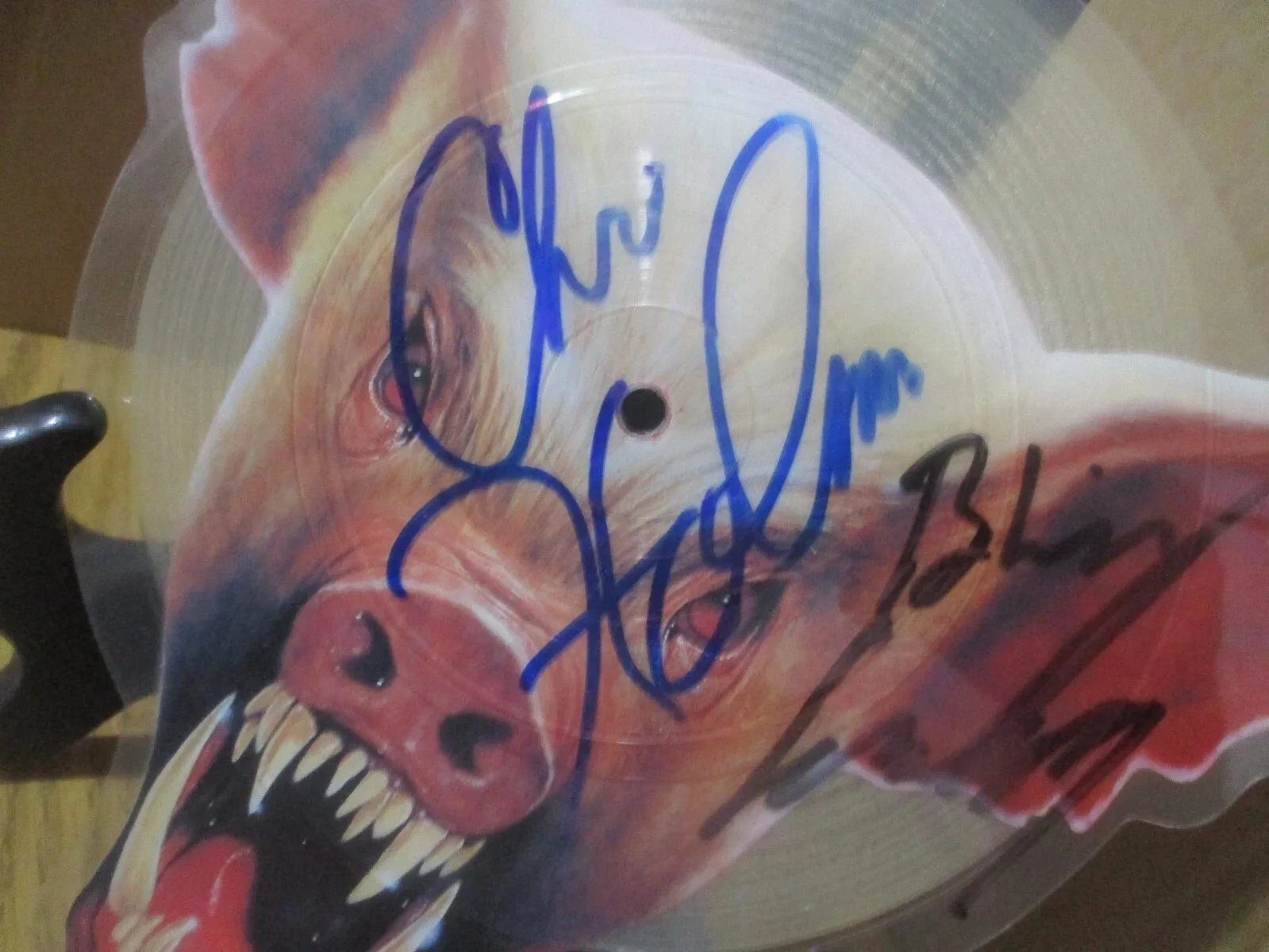 WASP JSA CERTIFIED AUTHENTIC AUTOGRAPHED/SIGNED ANIMAL F**K RARE PICTURE DISC, изображение 4