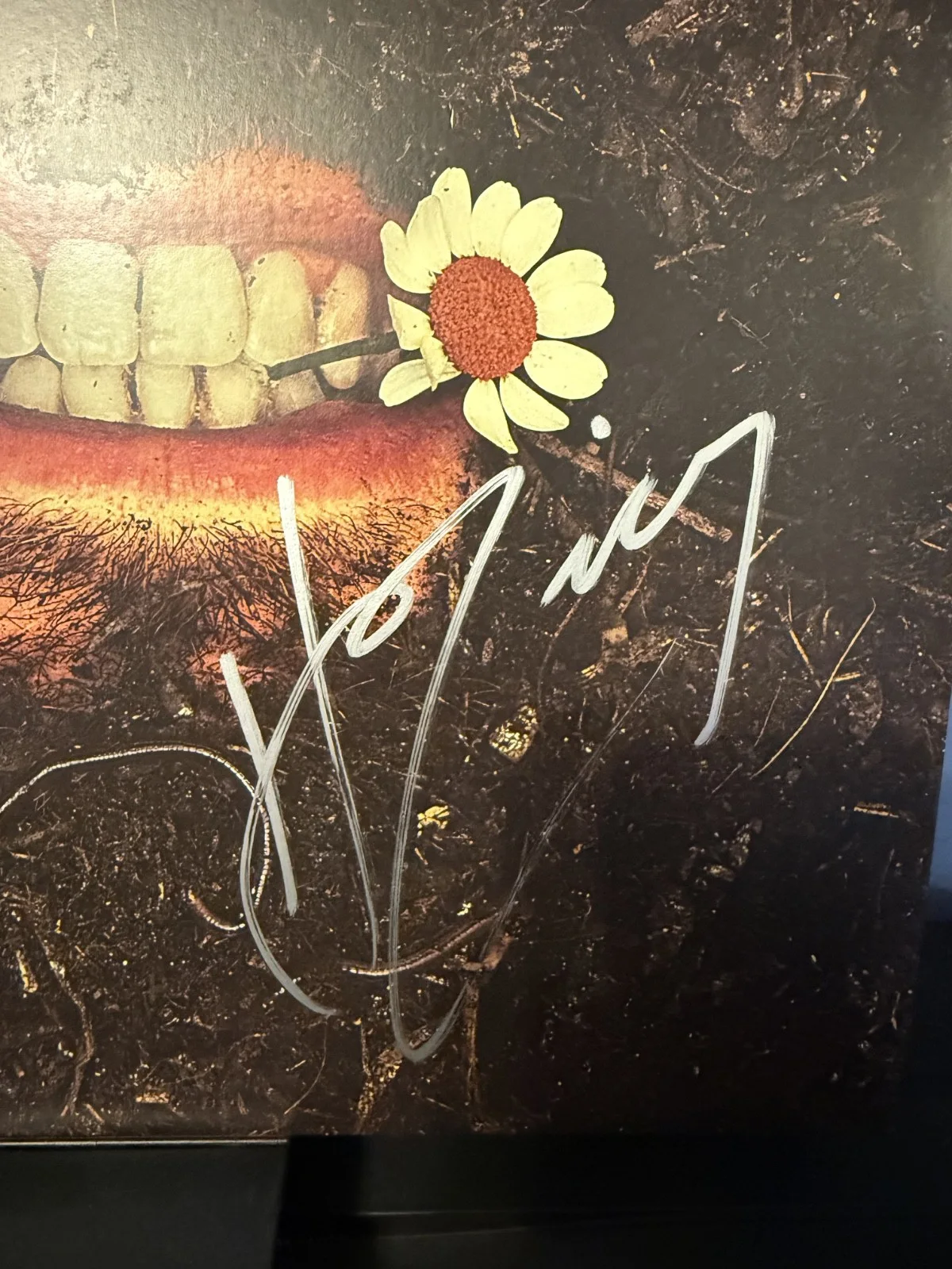 Hozier signed Unreal Unearth 12" lp album, image 2