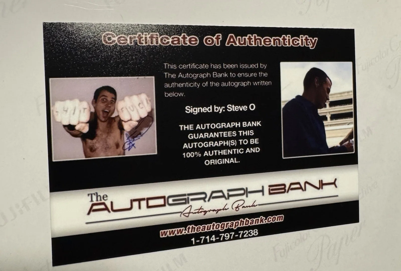 Steve O — Steve O Signed Original Photo The Autograph Bank Authenticated, изображение 2