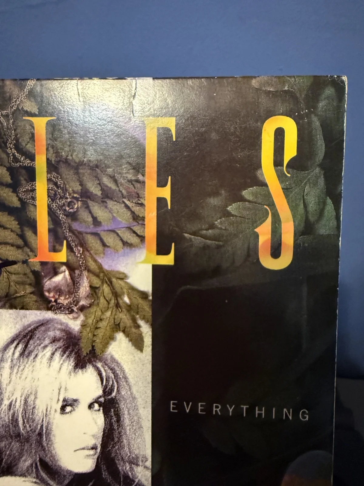 Susanna Hoffs signed Bangles Everything 12" lp album, image 3