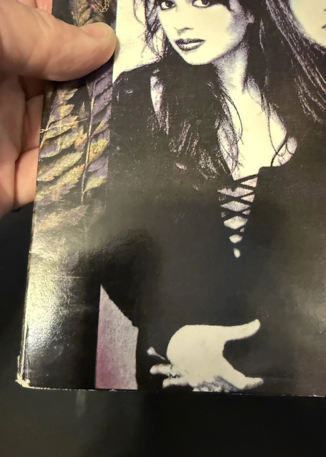 Susanna Hoffs signed Bangles Everything 12" lp album, image 4