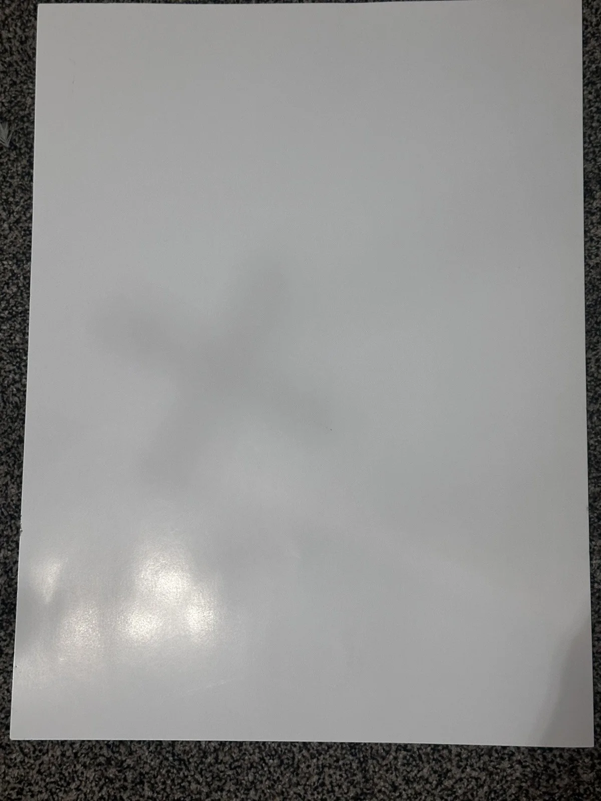 ALEX WARREN SIGNED Poster Ordinary cheaper than therapy tour, image 4