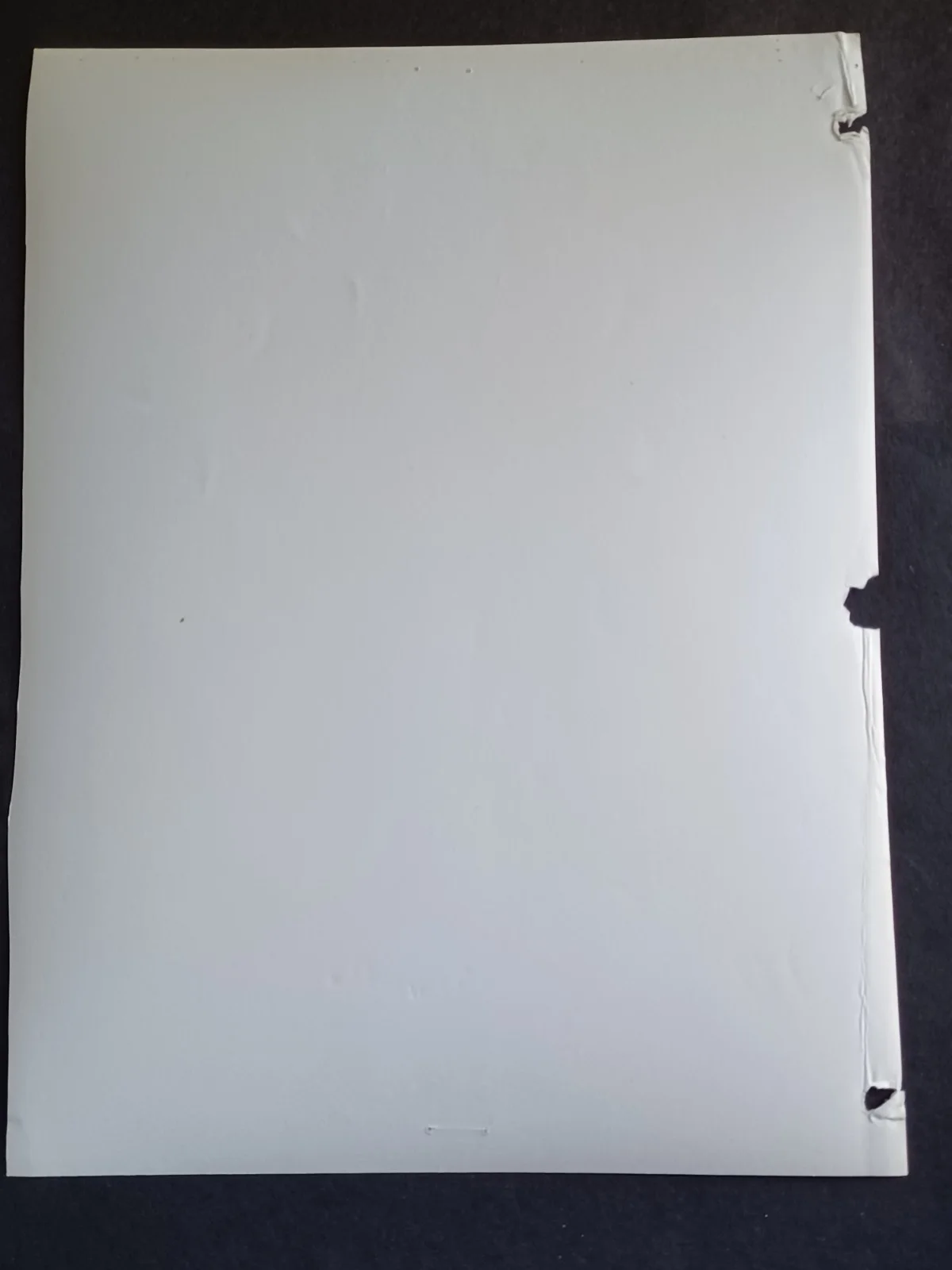 Martha Byrne Signed 7.75" x 10" Photo - As the World Turns, image 5