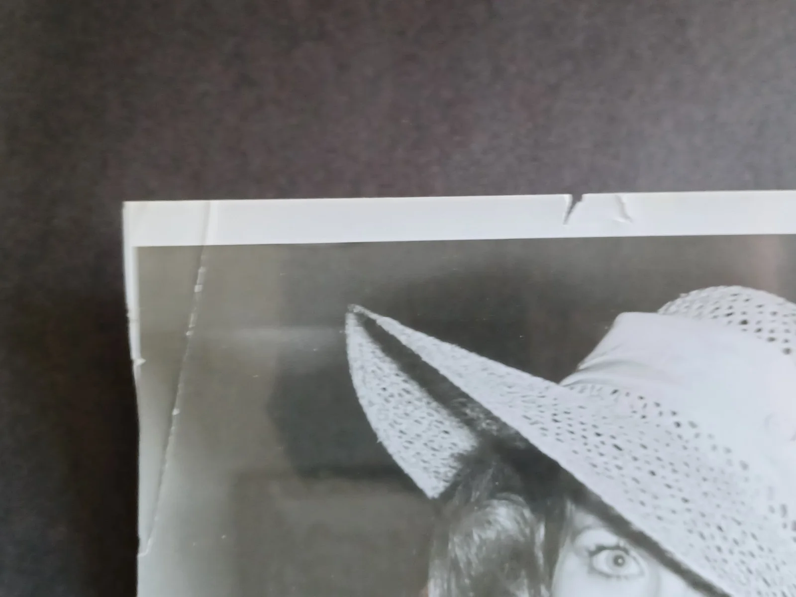 Candice Earley (d. 2019) Signed 7.5" x 10" Photo - All My Children, image 4