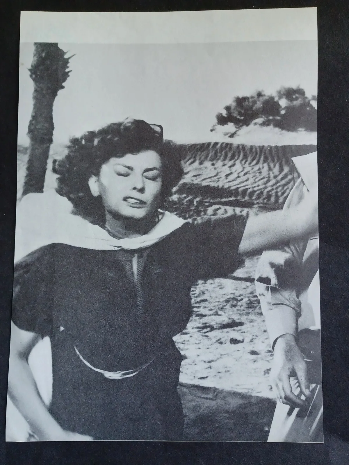 Sophia Loren Signed 7" x 9.75" Photo - Two Women, Grumpier Old Men, изображение 3