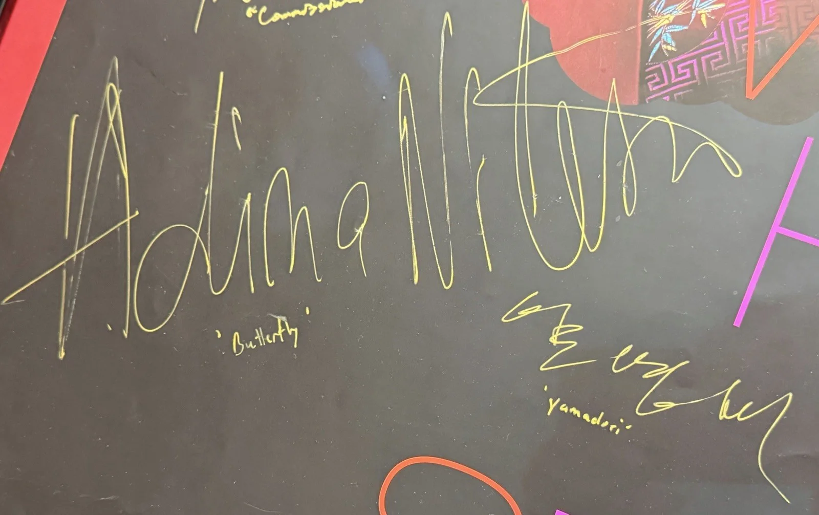 Cast — Very Rare 2010 Madame Butterfly Dallas Theater Cast Hand-Signed Poster In Frame, изображение 2