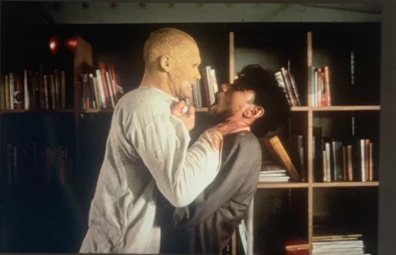 THE JOHNSONS Monique van De Ven Kenneth Herdigein Rik Van Uffelen 35mm Slides x7, image 3