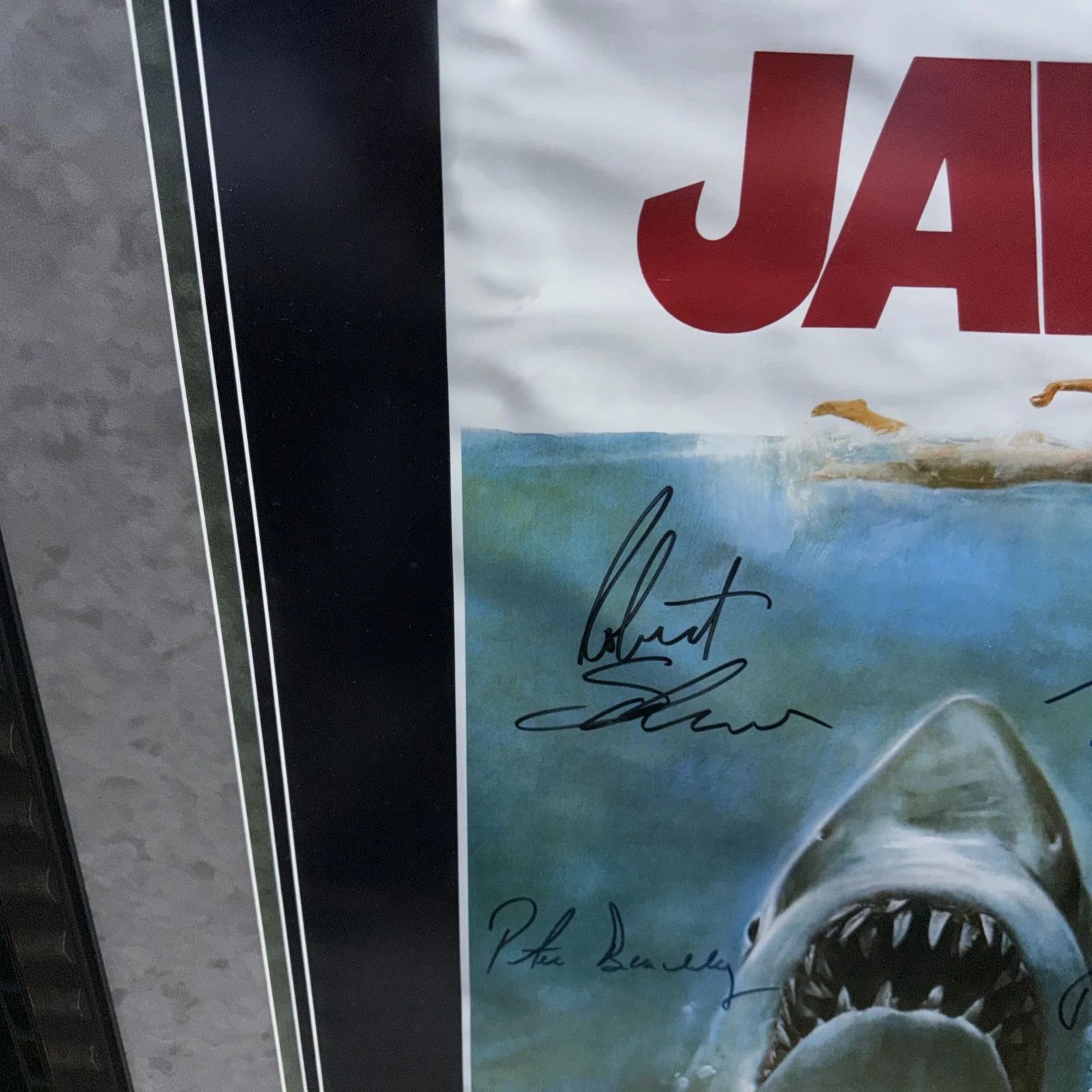 * JAWS * signed 24x36 movie poster * DREYFUSS, * SHAW *BEACHLEY * SCHEEIDER *, image 2