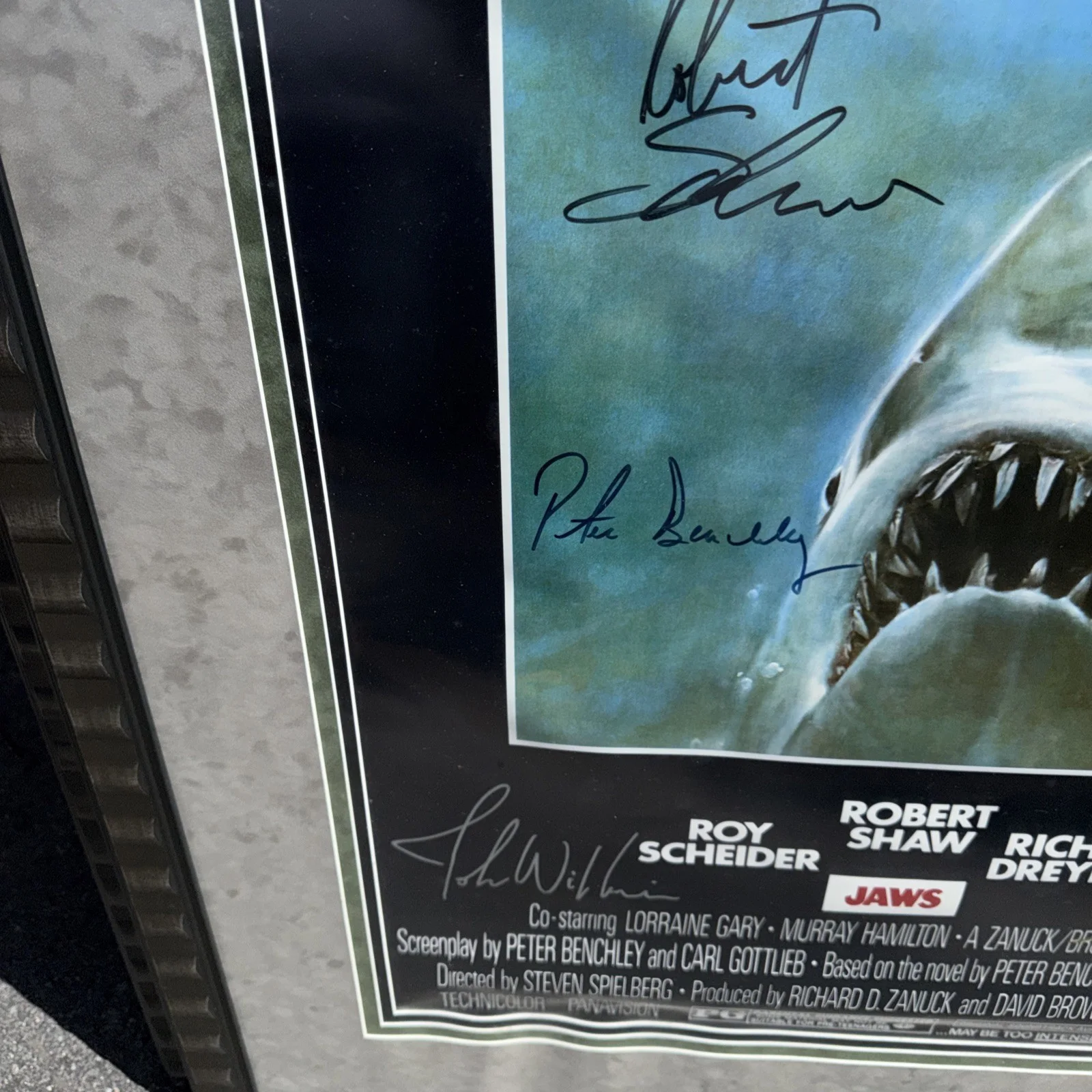 * JAWS * signed 24x36 movie poster * DREYFUSS, * SHAW *BEACHLEY * SCHEEIDER *, image 3