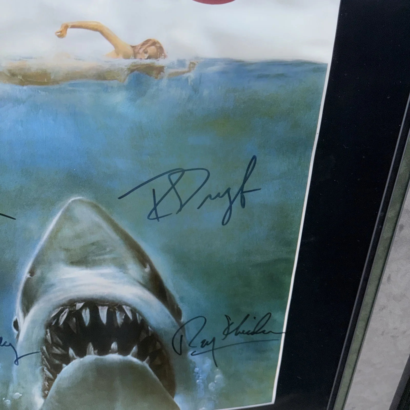 * JAWS * signed 24x36 movie poster * DREYFUSS, * SHAW *BEACHLEY * SCHEEIDER *, image 4