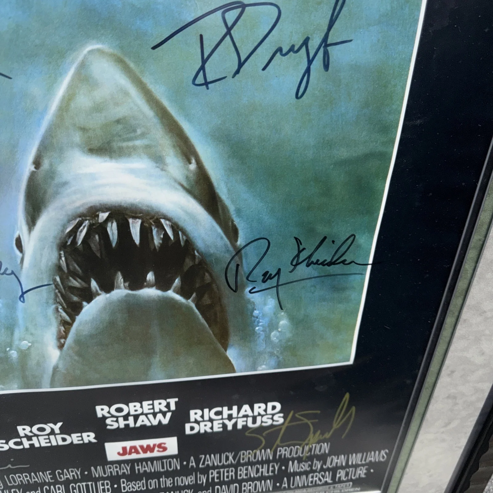 * JAWS * signed 24x36 movie poster * DREYFUSS, * SHAW *BEACHLEY * SCHEEIDER *, image 5