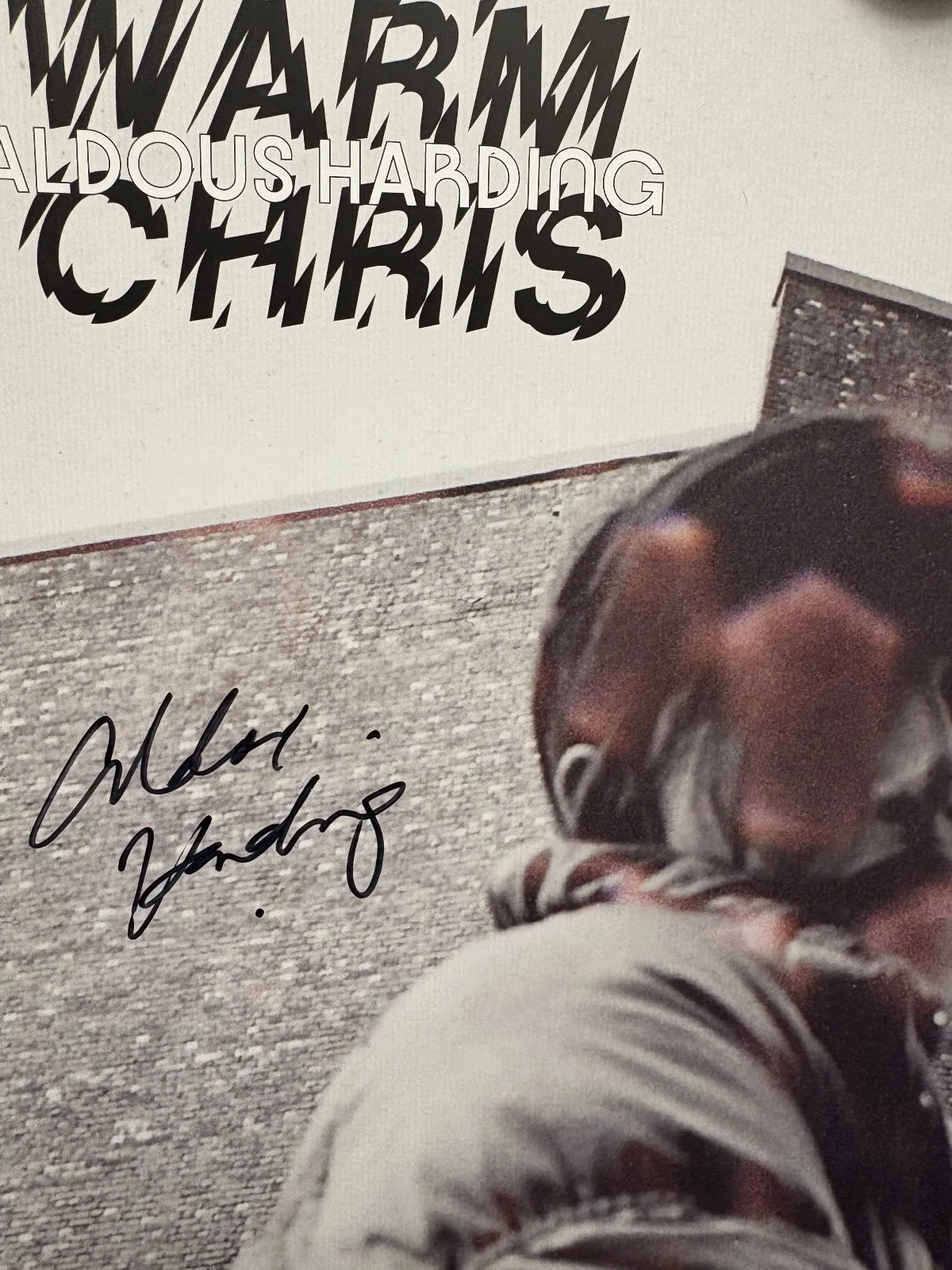 SIGNED Aldous Harding - Warm Chris - 2022 Album Promo Poster Art Card Print, изображение 2