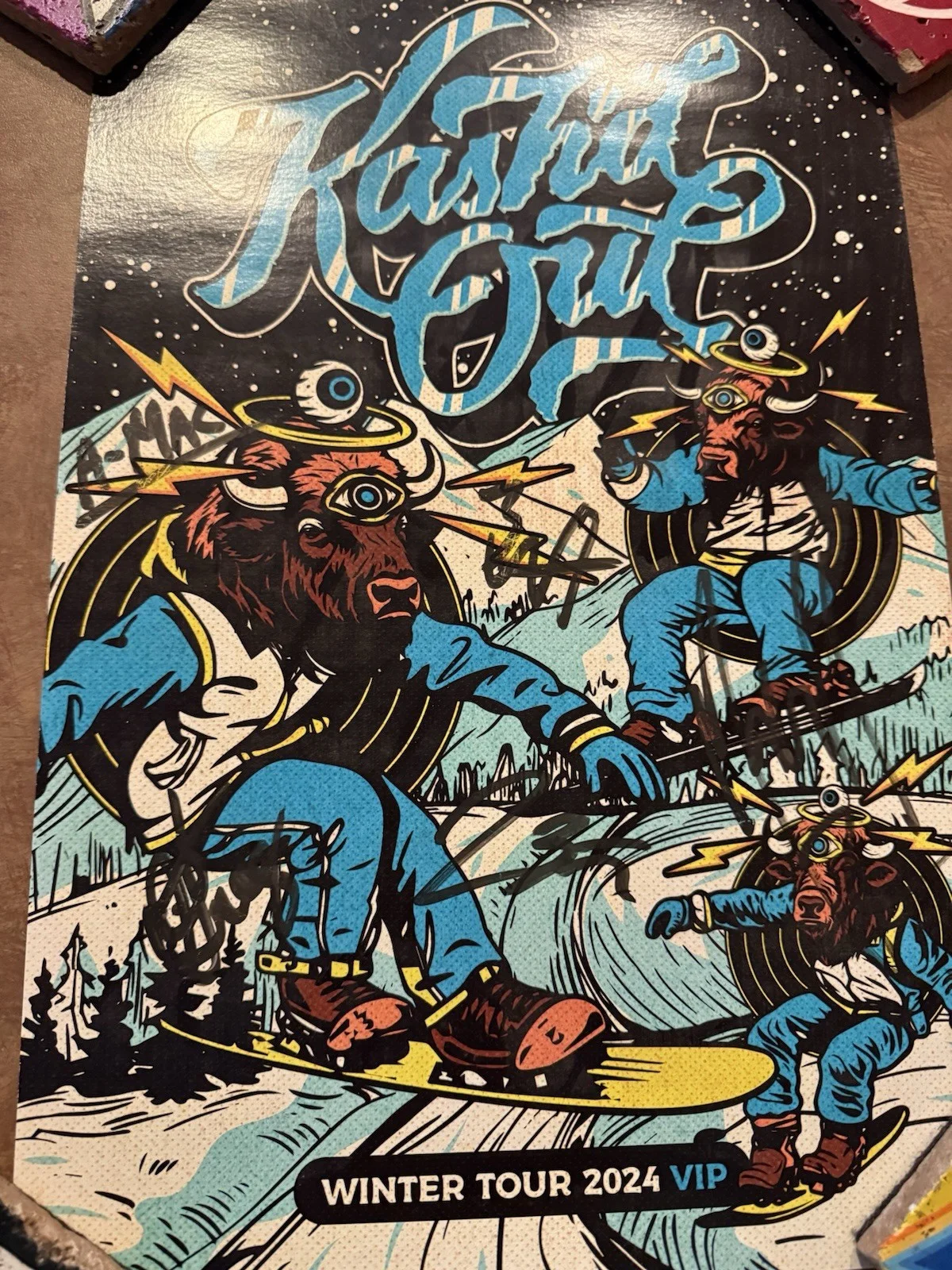 Kash'd Out Winter Tour 2024 VIP Poster *Autographed* Bob Marley Dirty Heads, изображение 2