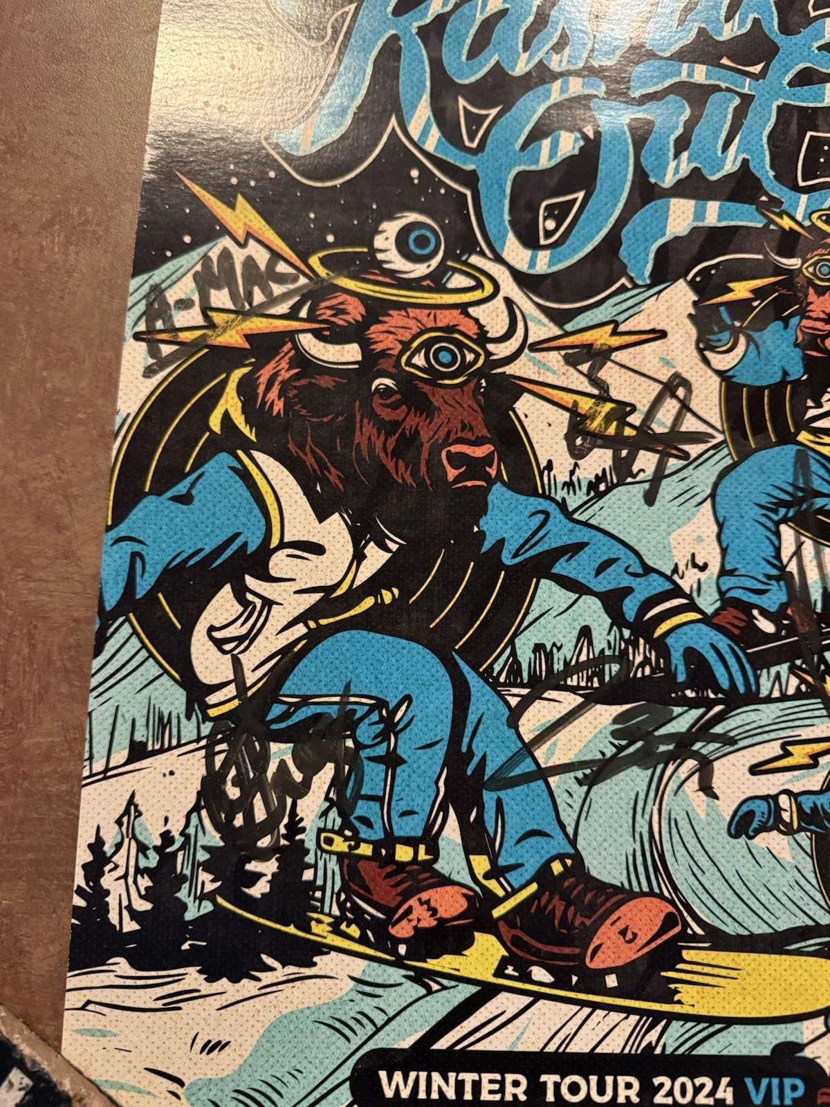 Kash'd Out Winter Tour 2024 VIP Poster *Autographed* Bob Marley Dirty Heads, изображение 5