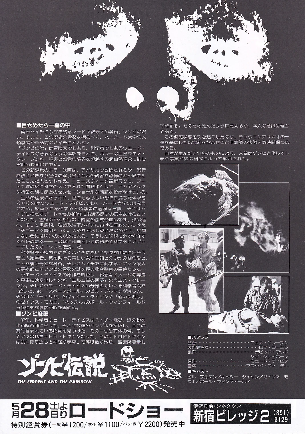 The Serpent and the Rainbow Original Japan Chirashi B5 Mini Poster/Flyer (1988), image 2