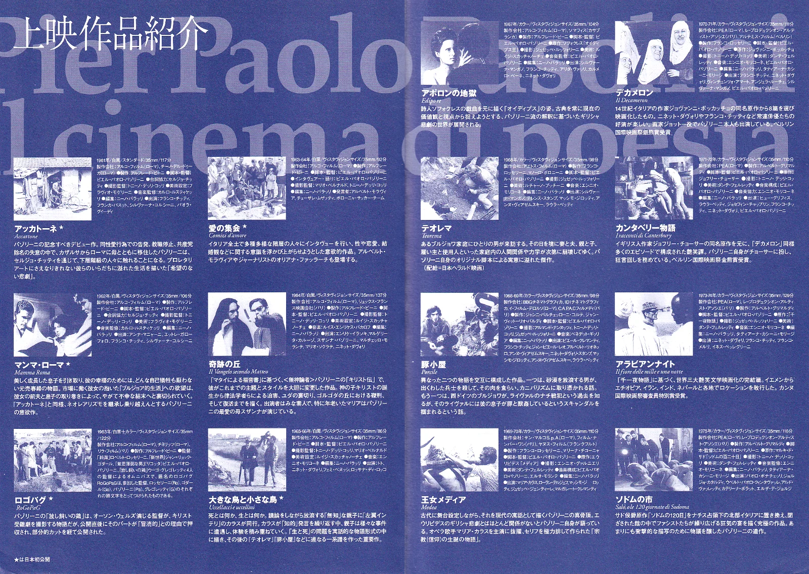 Pasolini Retrospective Original Japan Chirashi B5 Mini Poster/Flyer (2025), изображение 2