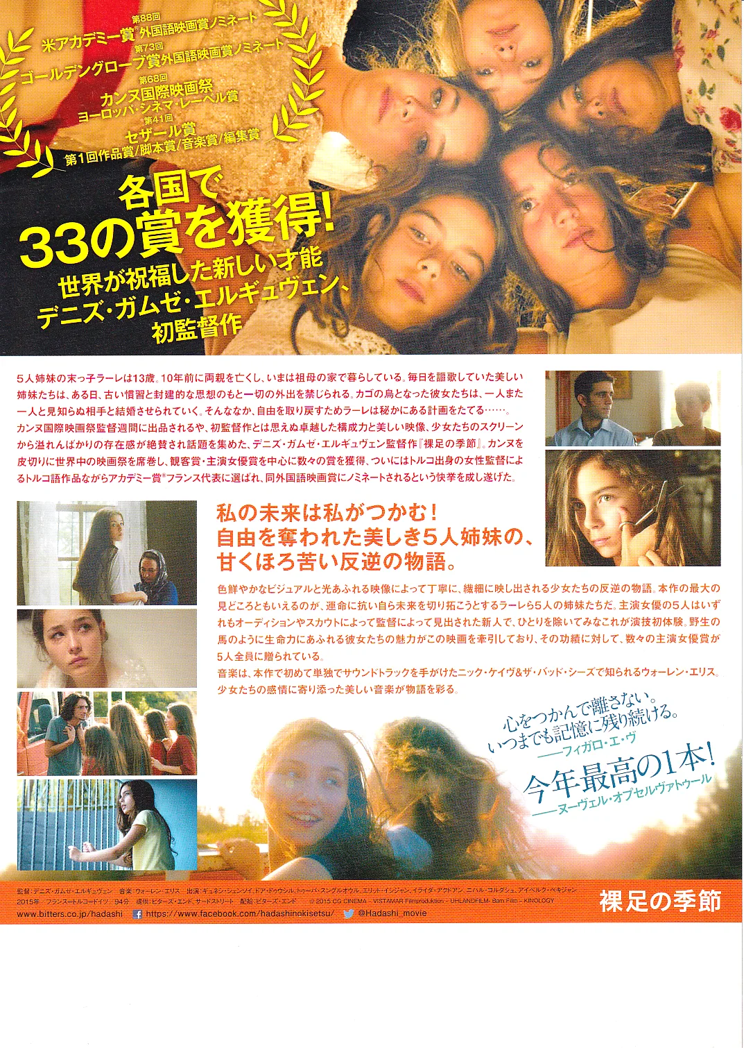 Mustang Original Japan Chirashi B5 Mini Poster/Flyer (2016), image 2