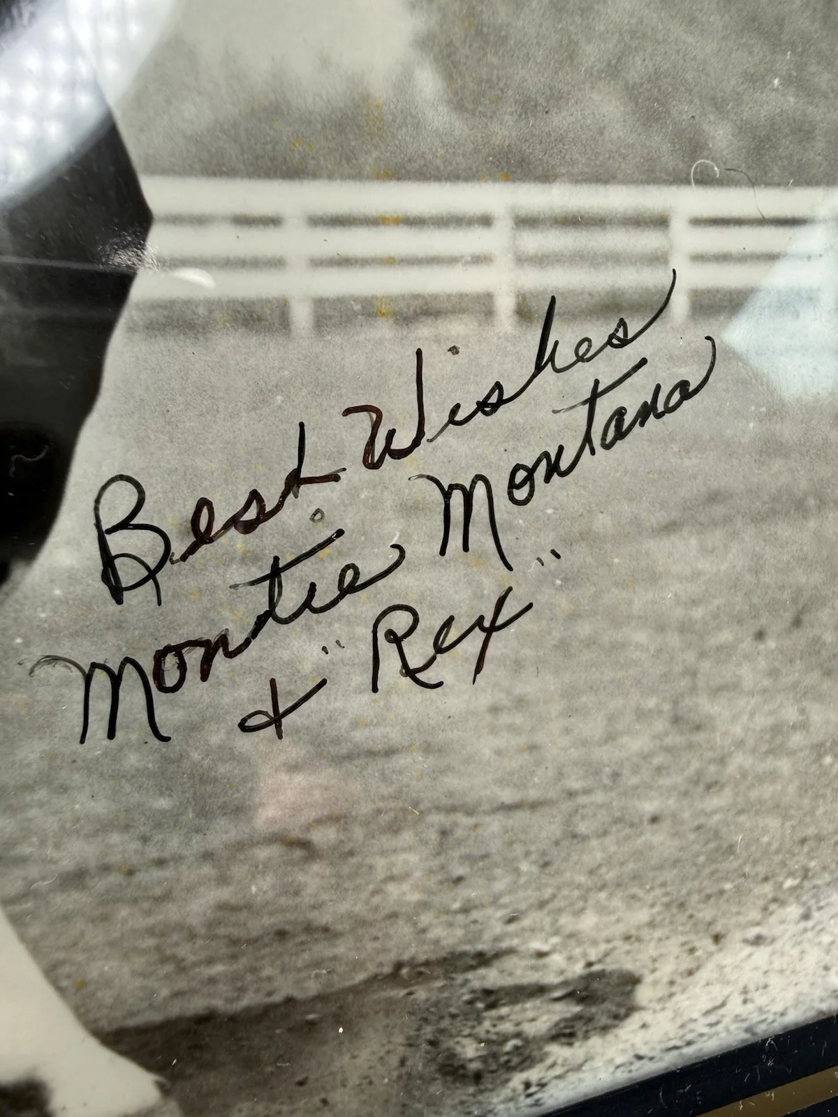 MONTIE MONTANA SIGNED PHOTO W/ REX THE HORSE AUTOGRAPH 1979 OWEN HARLEN MICKEL, изображение 2