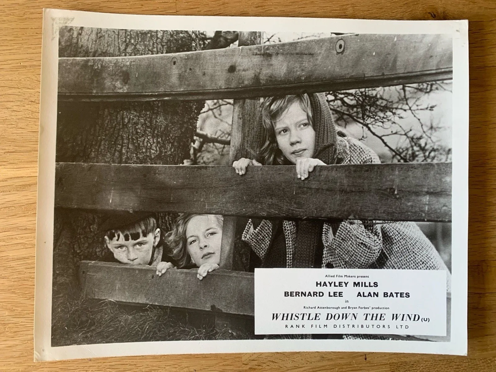 Whistle Down The Wind Complete Lobby Front Of House Set 8 Cards - Hayley Mills, изображение 3
