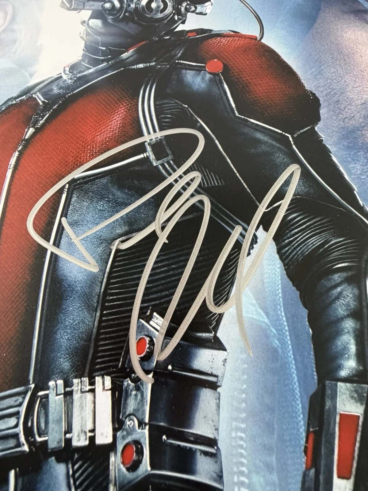 PAULL RUDD ANT-MAN AVENGERS MARVEL Autograph Signed 8"x 10" Photo COA, изображение 4