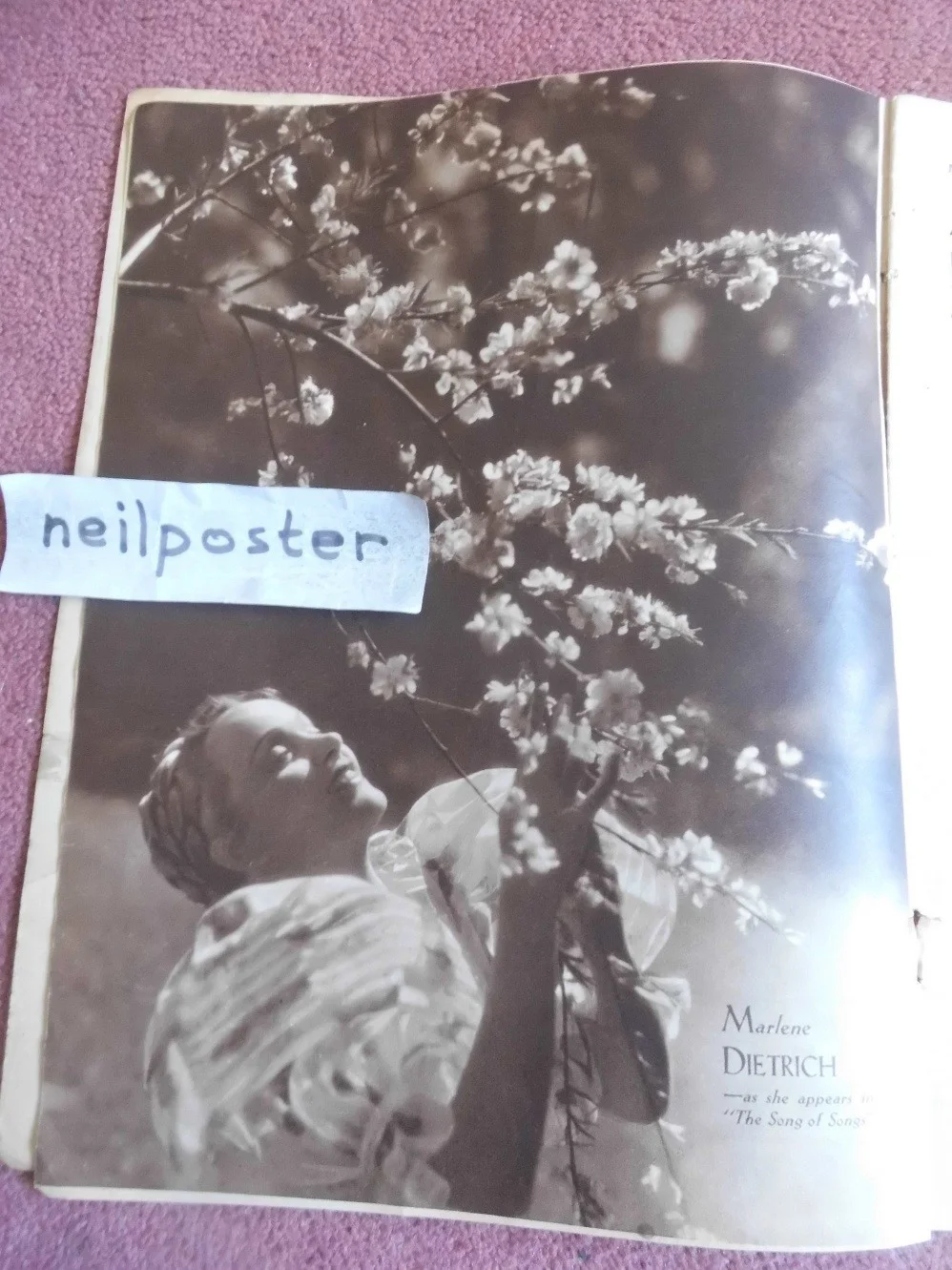 ANNA MAY WONG in scarce 1933 UK mag FILM PICTORIAL, изображение 2