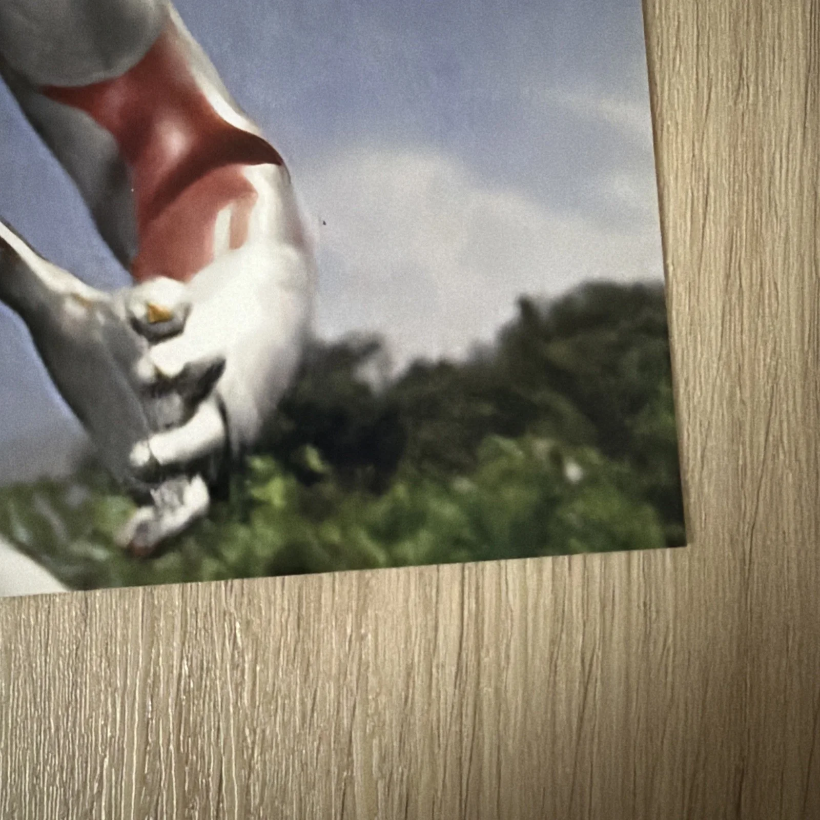 Ultraman Bin Furuya signed 8X10 JSA Authenticated Autograph, image 4