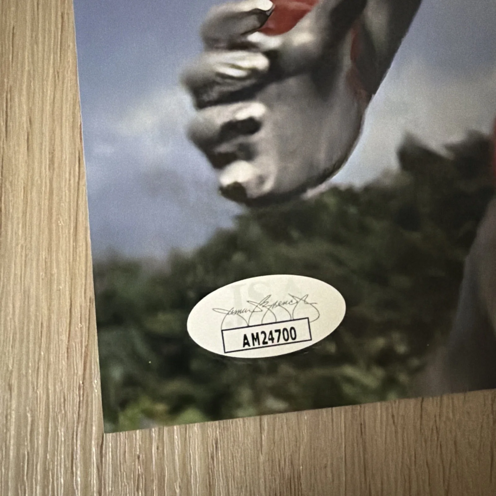 Ultraman Bin Furuya signed 8X10 JSA Authenticated Autograph, image 5