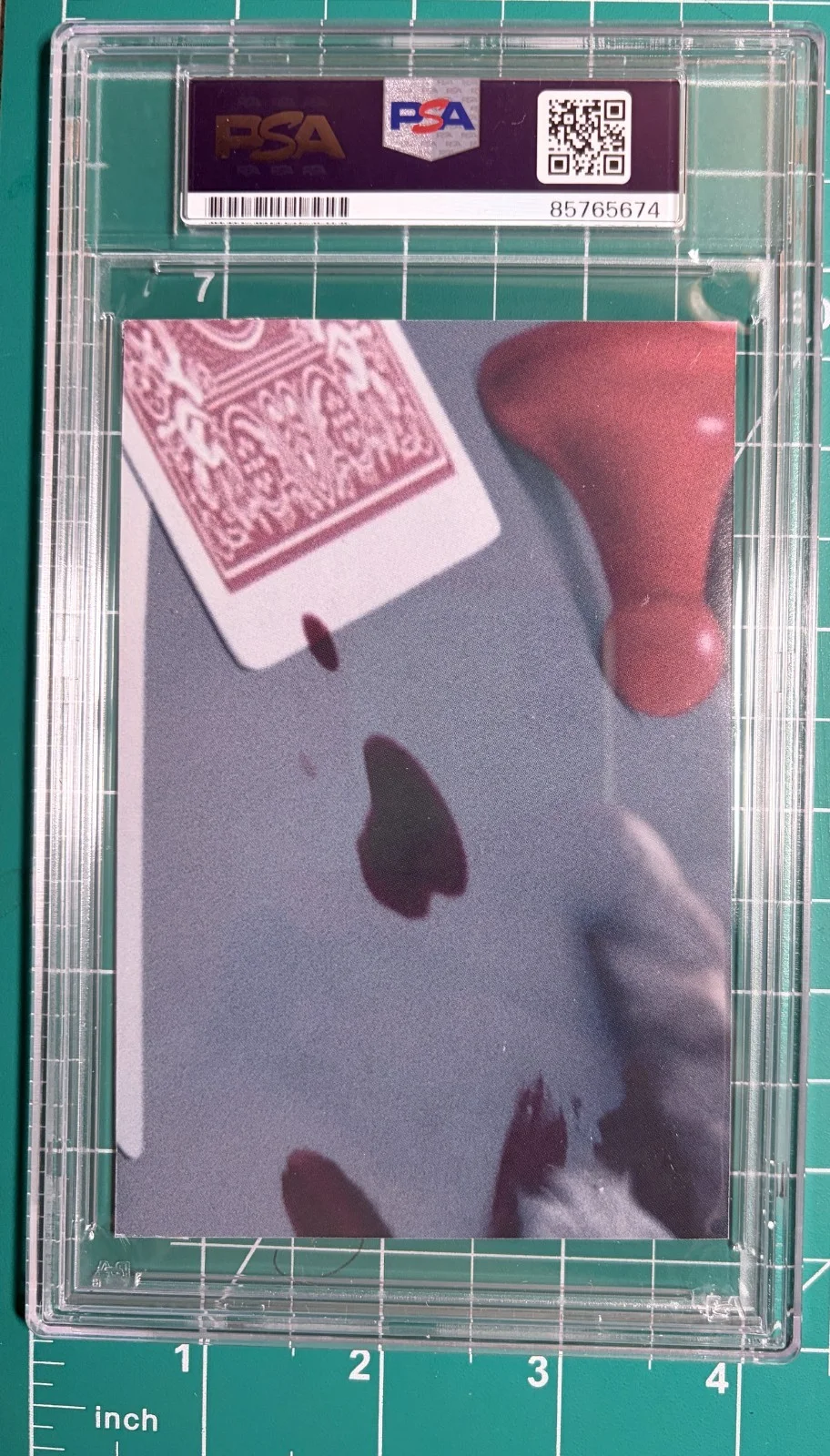 Jesse Plemons — Jesse Plemons Signed Autographed Breaking Bad PSA/DNA Encapsulated Authenticated, image 4
