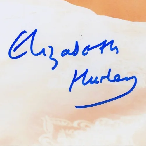 Elizabeth Hurley — ELIZABETH HURLEY Signed Autographed Modeling 11x14 Photo PSA/DNA #AQ41428, image 2