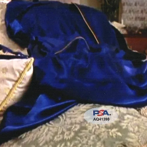 ELIZABETH HURLEY as Vanessa Signed Autograph "AUSTIN POWERS" 11x14 Photo PSA/DNA, изображение 3