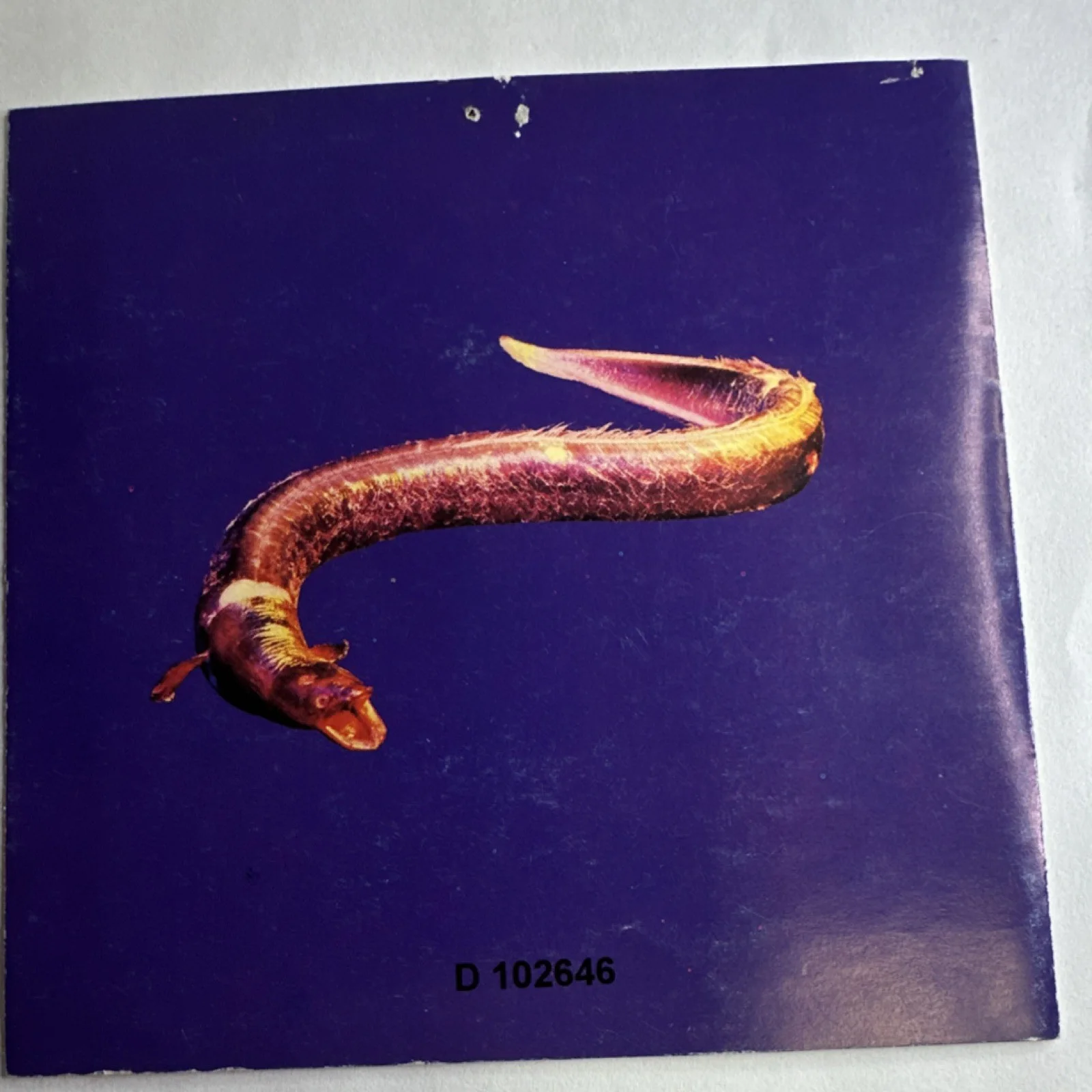 The Breeders Pod Autographed Original CD Booklet Signed Music Memorabilia, изображение 5