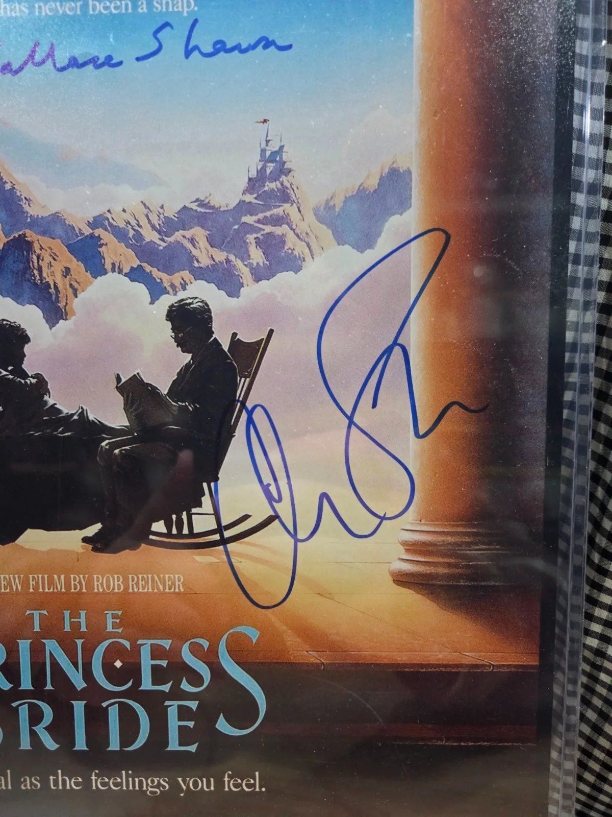 Chris Sarandon, Wallace Shawn — Chris Sarandon & Wallace Shawn Signed 11x17 The Princess Bride Poster Dual Auto, изображение 2
