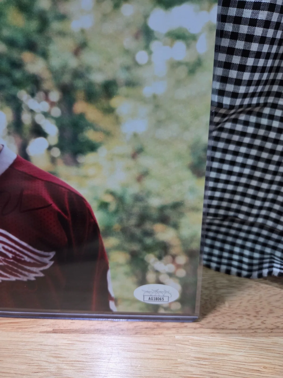 Alan Ruck — Alan Ruck Signed 8x10 Photo Cameron Frye Ferris Bueller’s Day Off Auto JSA COA, image 3