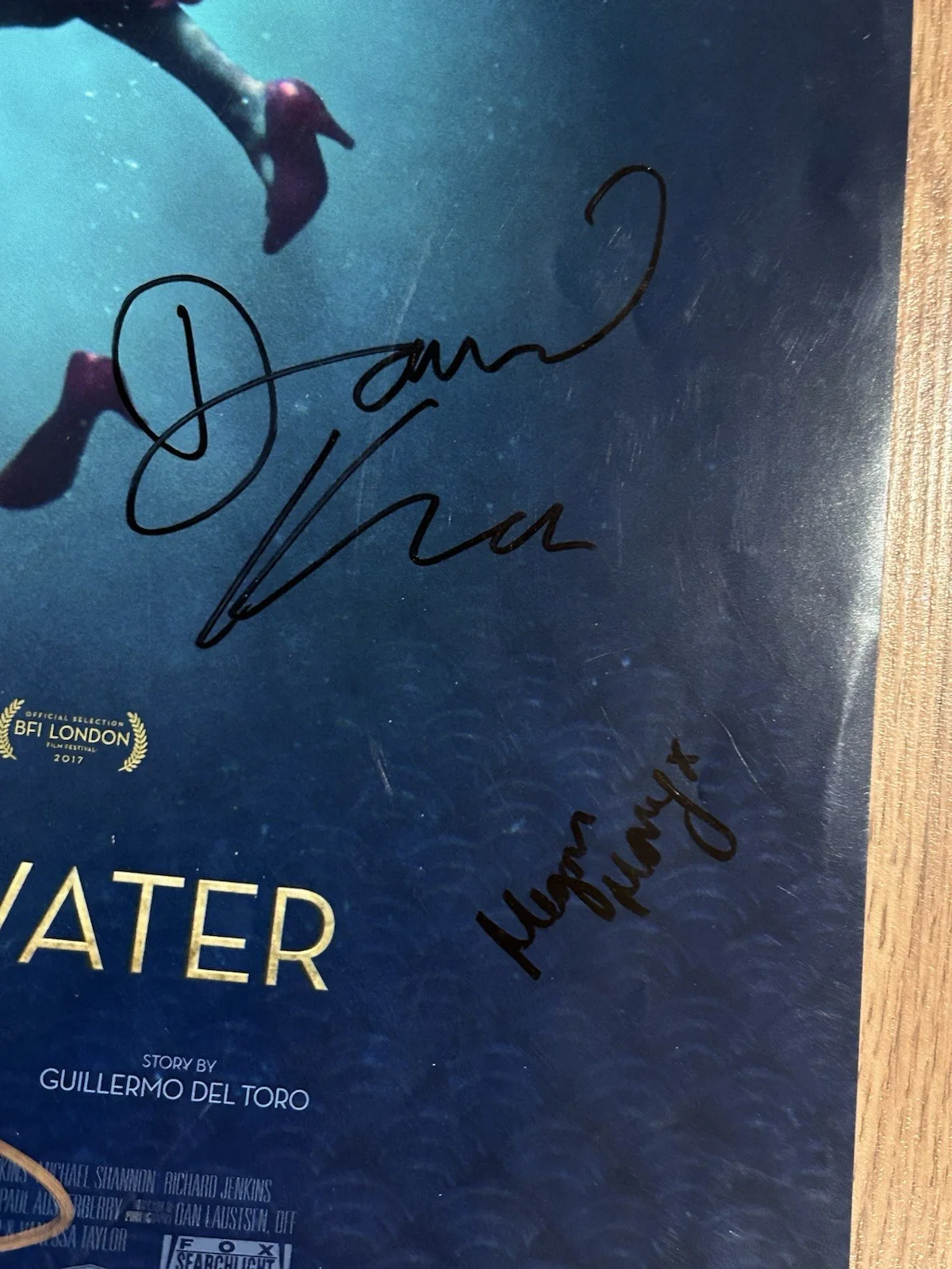 The Shape of Water Signed Poster Guillermo del toro autographed, image 3