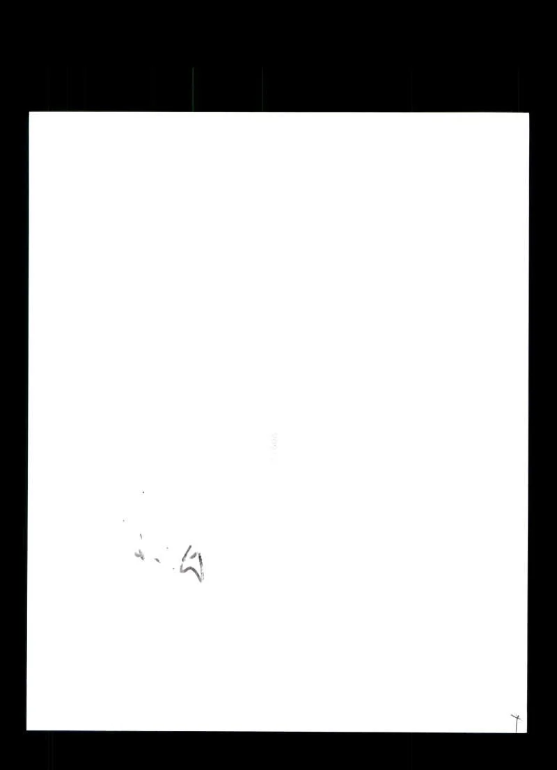 Angie Dickinson — Angie Dickinson PSA DNA Coa Autograph 8x10 Photo Signed, изображение 2